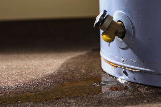 Best Ceiling water damage repair  in Webb City, MO