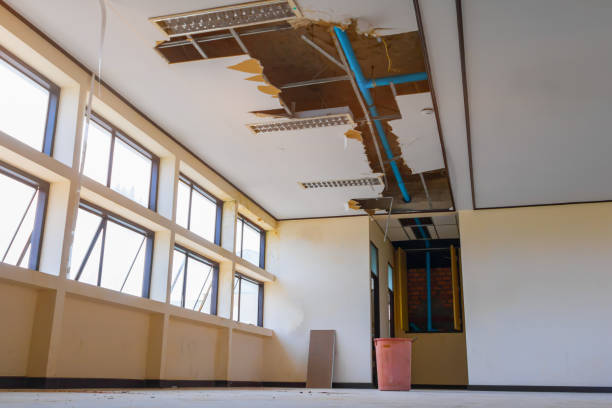 Best Local water damage restoration  in Webb City, MO