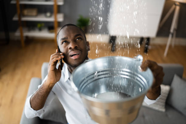 Best Flood damage cleanup  in Webb City, MO