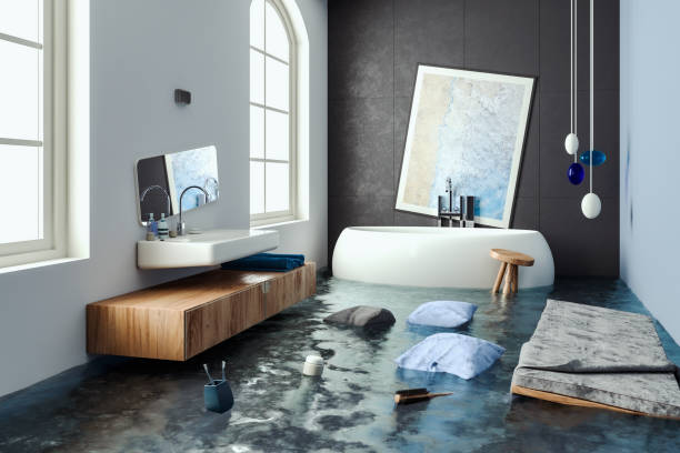Carpet water damage restoration in Webb City, MO