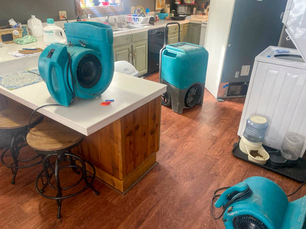 Best 24-hour water damage restoration  in Webb City, MO