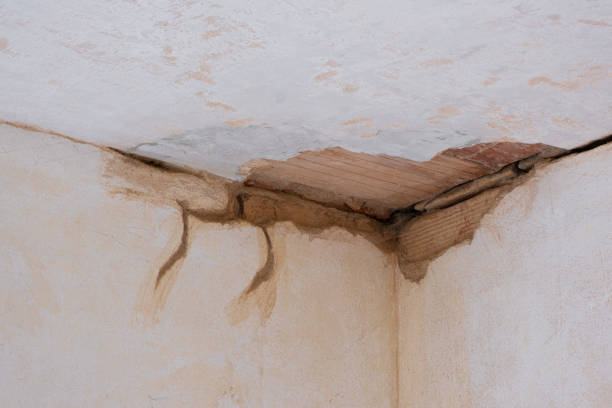 Best Water damage cleanup near me  in Webb City, MO