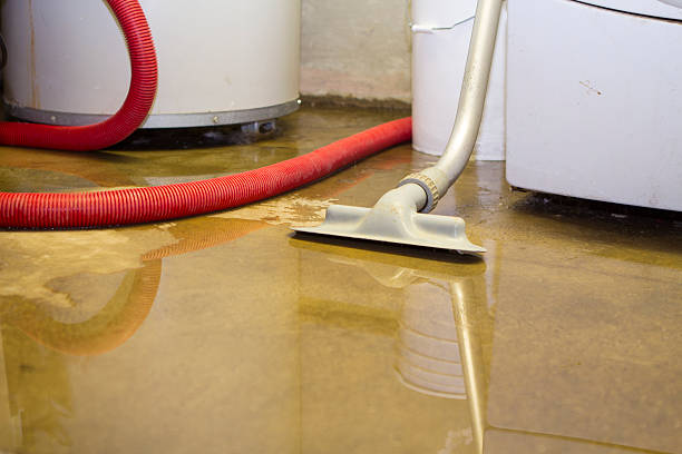 Best Sewage cleanup and water damage restoration  in Webb City, MO