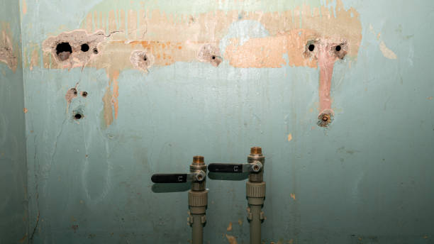 Best Water damage restoration experts  in Webb City, MO