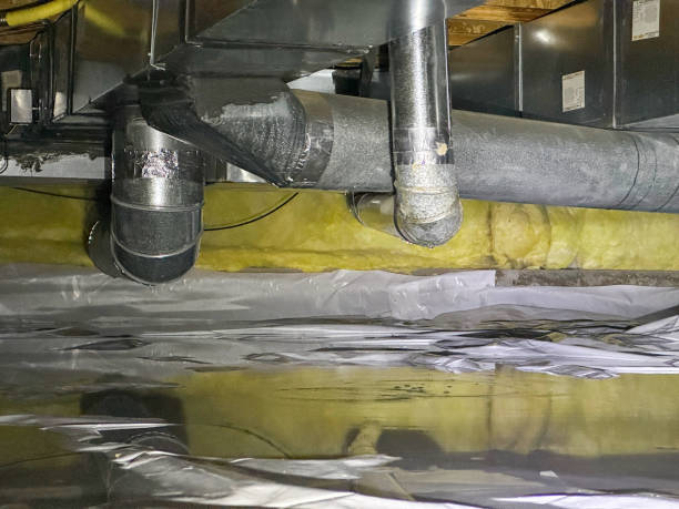 Best Water damage restoration services  in Webb City, MO